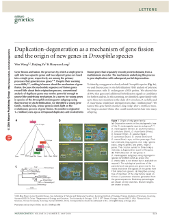 Duplication-degeneration as a mechanism of gene