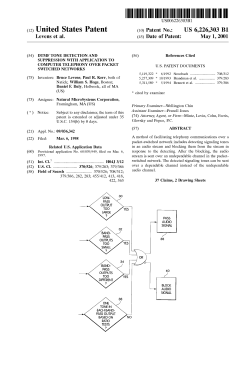 DTMF tone detection and suppression with application to computer