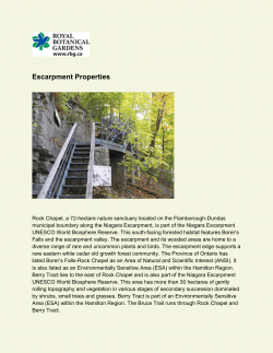 Escarpment Properties