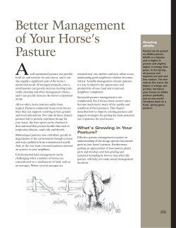 Better Management of Your Horse`s Pasture