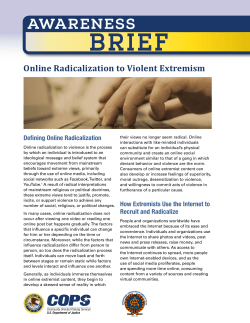 Online Radicalization to Violent Extremism