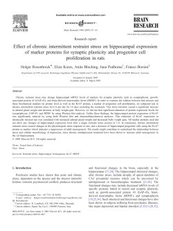 Effect of chronic intermittent restraint stress on hippocampal