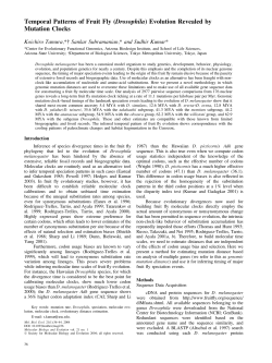Temporal Patterns of Fruit Fly (Drosophila) Evolution Revealed by