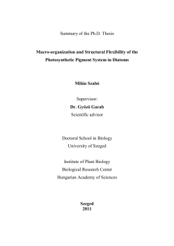 Summary of the Ph.D. Thesis Macro-organization and