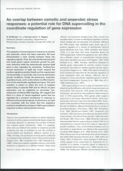 An overlap between osmotic and anaerobic stress responses: a
