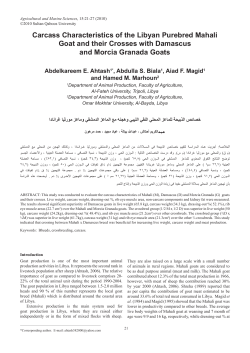 Carcass Characteristics of the Libyan Purebred Mahali Goat and