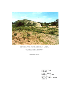 lithics after stone age in east africa wadh - E