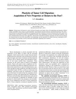 Plasticity of Tumor Cell Migration: Acquisition of New Properties or