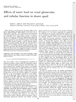 Effects of water load on renal glomerular and tubular function in