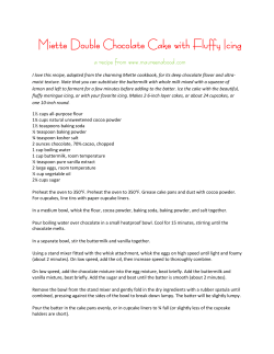 Miette Double Chocolate Cake with Fluffy Icing