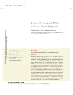 Roles of Plant Small RNAs in Biotic Stress Responses