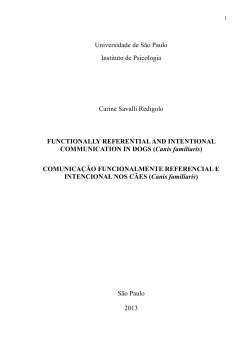 TESE CARINE versao parcial