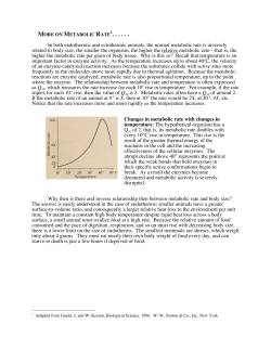 In both endothermic and ectothermic animals, the normal metabolic