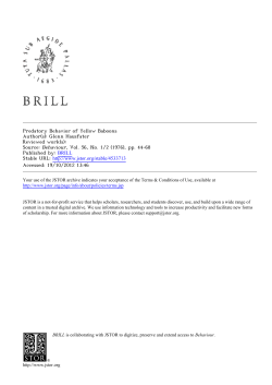 Predatory Behavior of Yellow Baboons