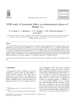 STM study of dynamical effects on submonolayer