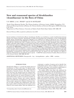 New and reassessed species of Strobilanthes