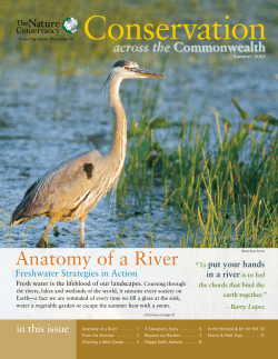 Anatomy of a River - The Nature Conservancy