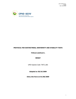 Triticum aestivum L. - CPVO