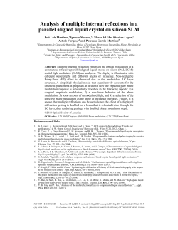 Analysis of multiple internal reflections in a parallel aligned liquid