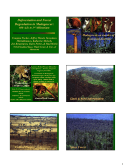 Compton Jim Tucker`s presentation