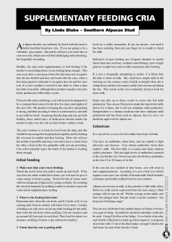 supplementary feeding cria