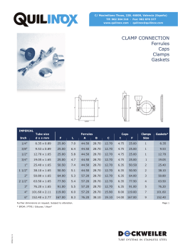 CLAMP CONNECTION Ferrules Caps Clamps Gaskets