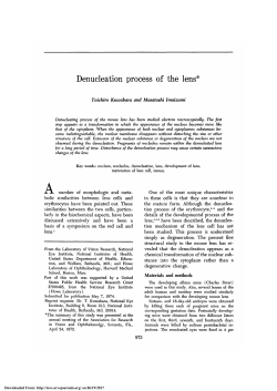 Denucleation Process of the Lens