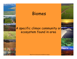 Biomes