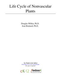 Life Cycle of Nonvascular Plants