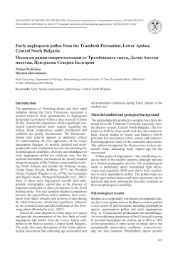 Early angiosperm pollen from the Trambesh Formation, Lower
