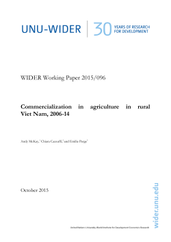 PDF - unu-wider - United Nations University