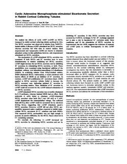 Cyclic Adenosine Monophosphate-stimulated Bicarbonate Secretion