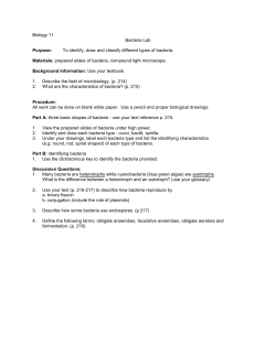 Biology 11 Bacteria Lab Purpose: To identify, draw and classify