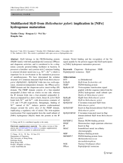 implication in [NiFe] hydrogenase maturation