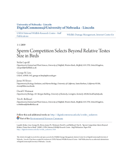 Sperm Competition Selects Beyond Relative Testes Size in Birds