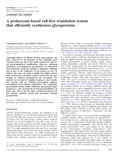 A prokaryote-based cell-free translation system