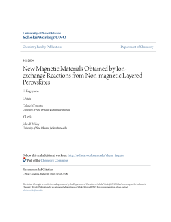 New Magnetic Materials Obtained by Ion