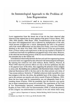 An Immunological Approach to the Problem of Lens