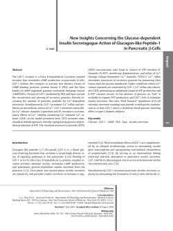 New Insights Concerning the Glucose