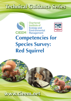 Competencies for Species Survey: Red Squirrel
