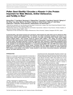 Pollen Semi-Sterility1 Encodes a Kinesin