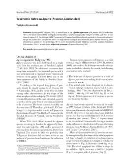 Taxonomic notes on Agroeca (Araneae, Liocranidae)