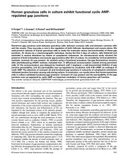 Human granulosa cells in culture exhibit functional cyclic AMP