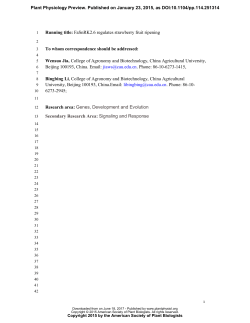 FaSnRK2. 6, an ortholog of Open Stomata 1, is a Negative