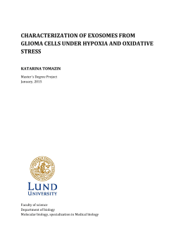 CHARACTERIZATION OF EXOSOMES FROM GLIOMA CELLS