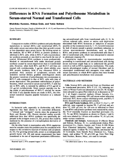 Differences in RNA Formation and Polyribosome