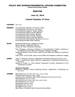 Minutes - County of Maui
