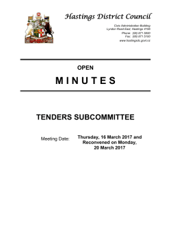 minutes - Hastings District Council