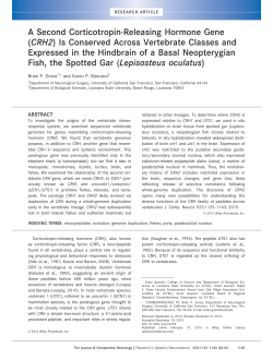 PDF - Louisiana State University