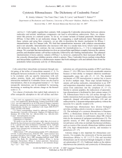 Cytotoxic Ribonucleases: The Dichotomy of Coulombic Forces